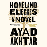 Ayad Akhtar - Homeland Elegies artwork