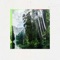 The Susurration of the Forest - Flueeed lyrics