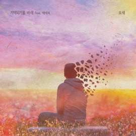 기억되길 바래 (Instrumental) 요새