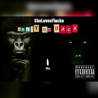 Can't Go Back - Single