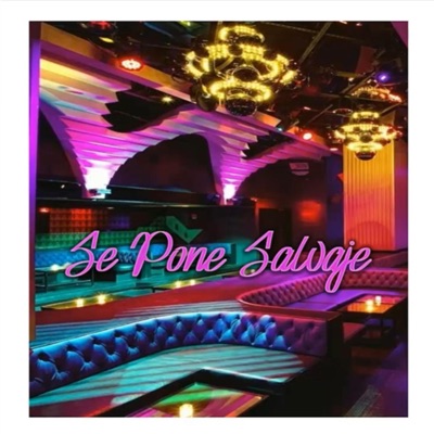 Se Pone Salvaje (feat. BreezyJaime, NegroMaxi, 24hun & Laletra) - Single