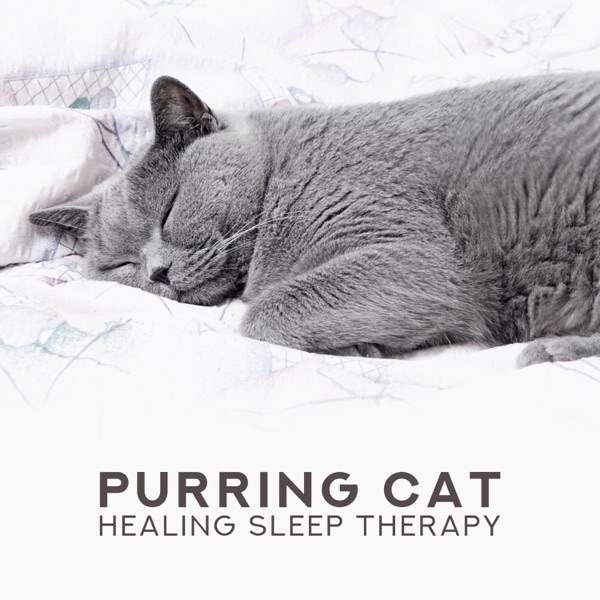 Purring Cat: Healing Sleep Therapy