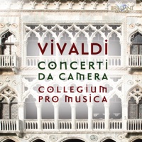Collegium Pro Musica - Concerto in D Major for Recorder, Violin, Cello & Continuo, RV 91: I. Allegro