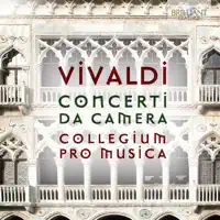 Concerto in D Major for Recorder, Violin, Cello & Continuo, RV 91: I. Allegro