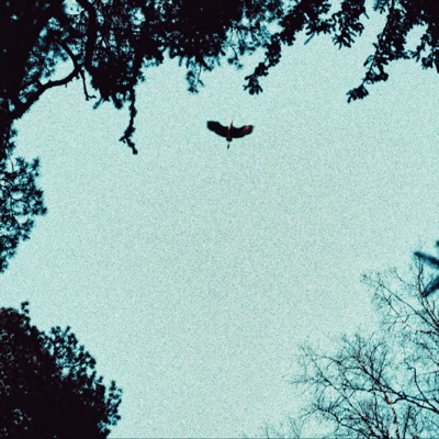 You're Next - Single