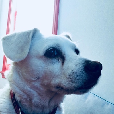 Below Freezing Season