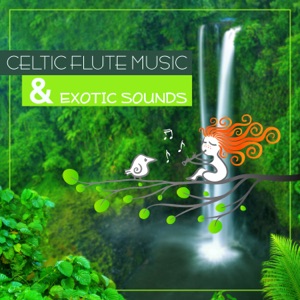 Celtic Flute Music & Exotic Sounds: Celtic Instrumental Sounds Collection, Soundscapes, Relaxation, Meditation, Exotic Sounds of Nature