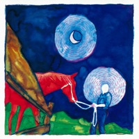 In the Reins - Calexico & Iron & Wine