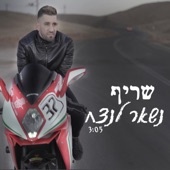 נשאר לנצח artwork