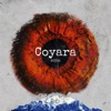 Coyara