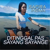 Ditinggal Pas Sayang Sayange artwork