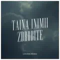 Taina inimii zdrobite
