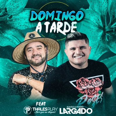 Domingo a Tarde (feat. Thales Play) - Single
