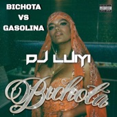DJ Luiyi - Bichota vs Gasolina