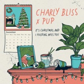 It's Christmas And I Fucking Miss You by Charly Bliss