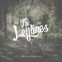 Sat in a Field — The Leylines