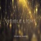 Visible Light artwork