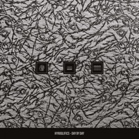 Day By Day - Single - Hyroglifics