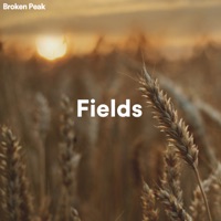 Fields - Single - Broken Peak