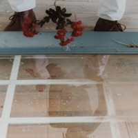 Brain - Single - AkoSlice