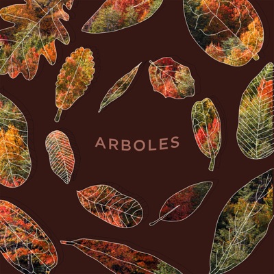 Árboles (feat. Nosecuenta) - Single