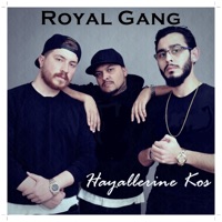 Hayallerine Koş (feat. Arem, Vango, Tommy Gun & Taner Soyer) - Single - Royal Gang