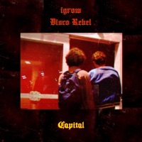 Capital (feat. Disco Rebel) - Single - igrow