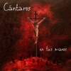Cántaros - El Sembrador