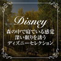Disney selection that invites you to sleep deeply in the woods