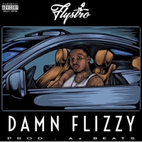 Damn Flizzy - Single - Flystro