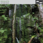 Rivulets artwork