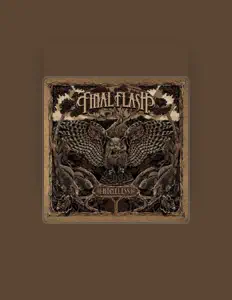 聆聽 Final Flash、觀看音樂影片、閱讀小傳、查看巡演日期等！