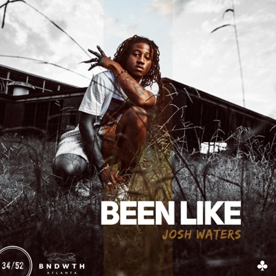 Been Like - Single