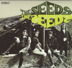 The Seeds - Dreaming of Your Love