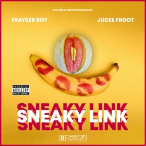 Sneaky Link (feat. Jucee Froot) - Single