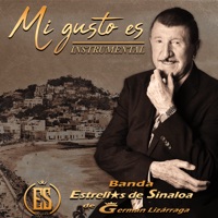 Mi Gusto Es - Single - Banda Estrellas De Sinaloa De German Lizarraga