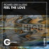 Feel the Love - Single