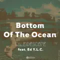 Bottom Of The Ocean