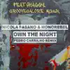 Nicola Fasano, Honorebel, Shaggy & GrooveGalore Musik - Own the Night (Pedro Carrilho Radio Mix)
