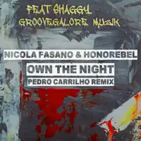 Own the Night (Pedro Carrilho Radio Mix) — Nicola Fasano, Honorebel, Shaggy & GrooveGalore Musik
