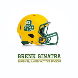 Hangin' Out The Sunroof Brenk Sinatra