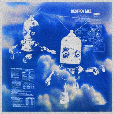 Destroy Mee - Single