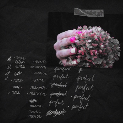 It Was Never Perfect (feat. Mon Grand) - Single
