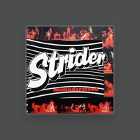 Strider