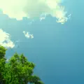 50m_silence