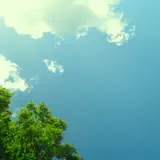 Hirotaka Shirotsubaki - 50M_Silence