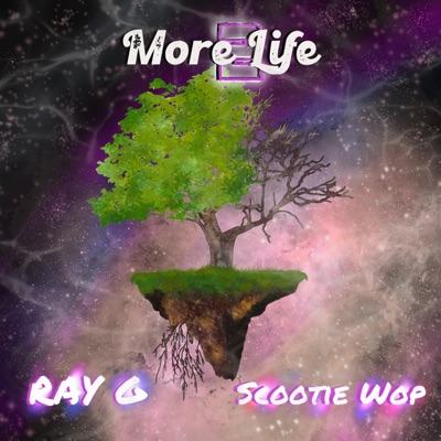 More 2 Life (feat. Scootie Wop) - Single