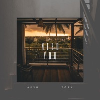 Need You - Single - AKSH & Tork