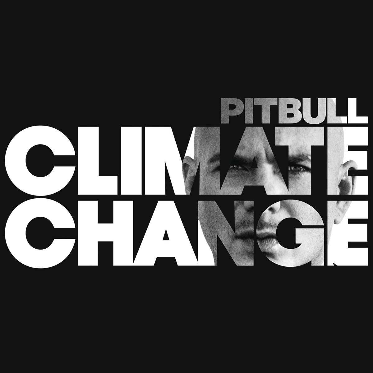 Pitbull - Climate Change (2017) [iTunes Plus AAC M4A]-新房子