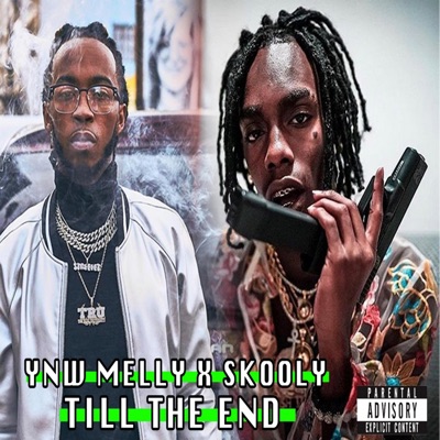 Till the End (feat. Skooly) - Single